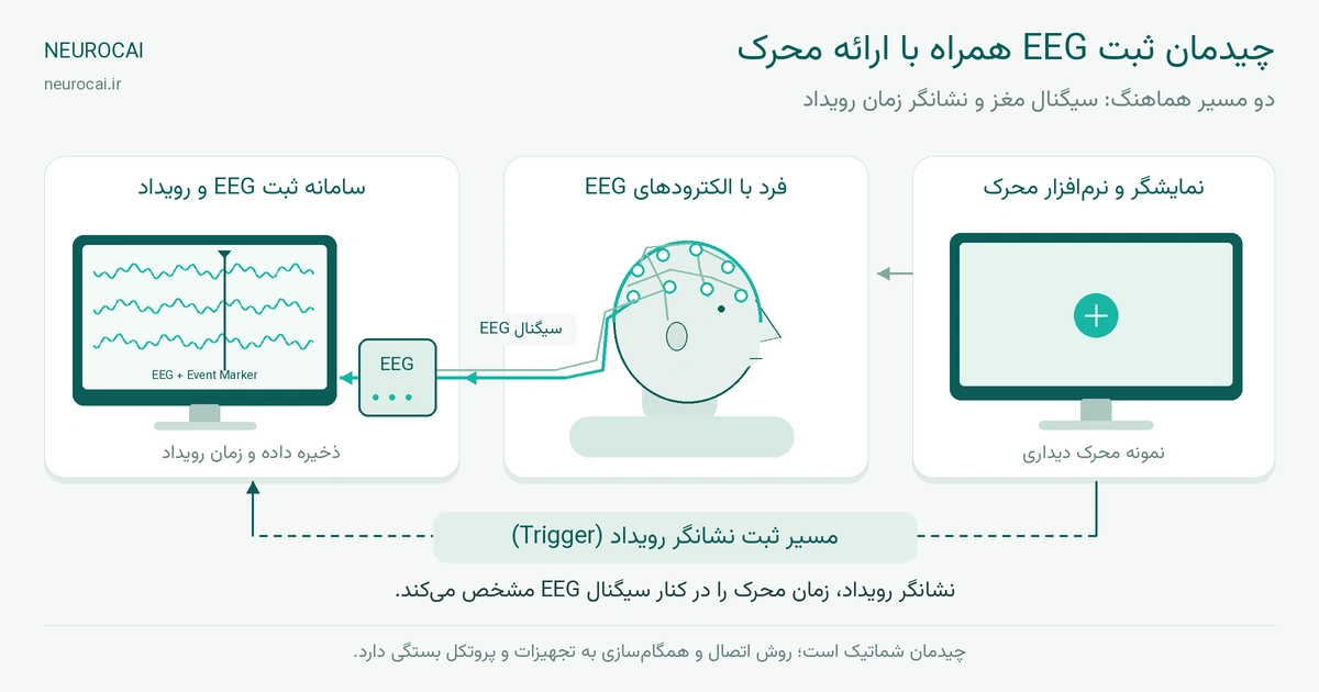 چیدمان ثبت EEG همراه با ارائه محرک